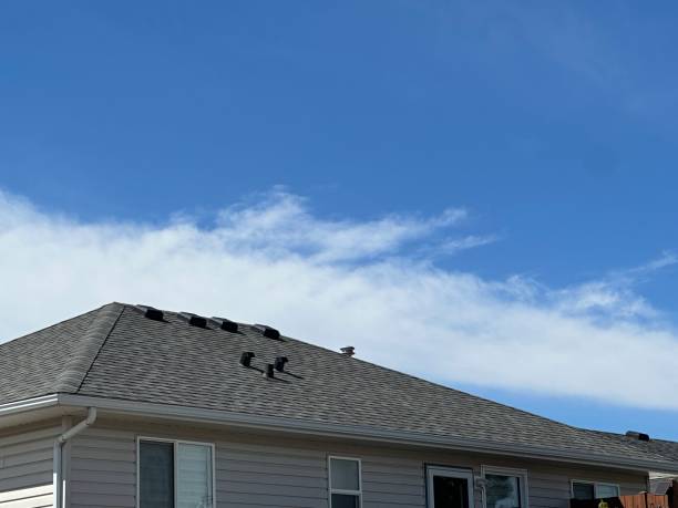 Professional Roofing Services in Caldwell, ID